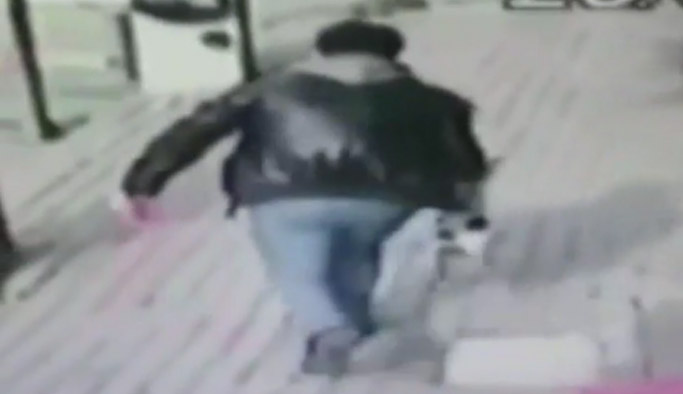 Hamile kediye akıl almaz işkence