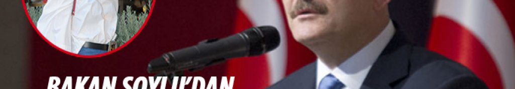 Bakan Soylu'dan Mina Başaran'ın hayatını kaybettiği kazaya yakın takip