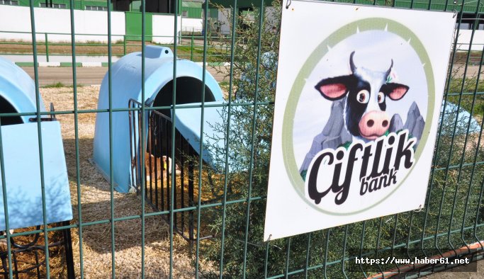 Özel Harekatçılar binlerce kişiyi batıran Çiftlik Bank'ın önünde