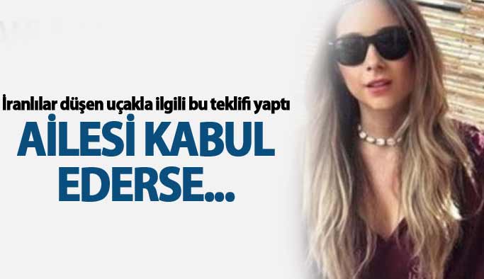 İran'dan düşen uçakla ilgili teklif