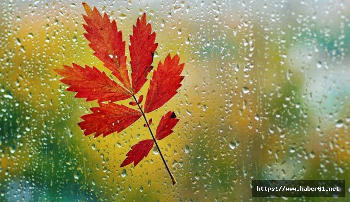 Hava sıcaklığı azalacak. 14.03.2015