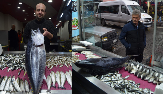 Tezgaha sığmayan Orkinos ilgi odağı oldu