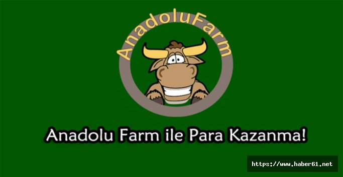 Anadolu Farm nedir nasıl oynanır? Çiftlik Bank gibi dolandırıcı mı?