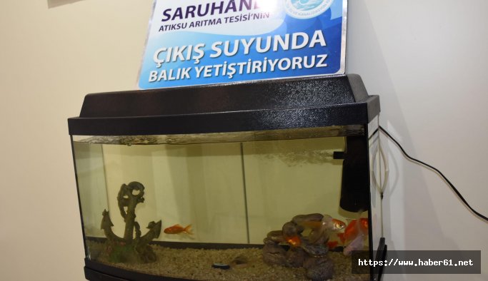 İçme suyu depolarından çıkan yılanlar sergilendi