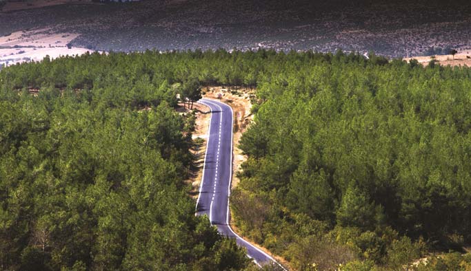 2. Kalkınma Eylem Planı: Trabzon dahil 9 ilde...