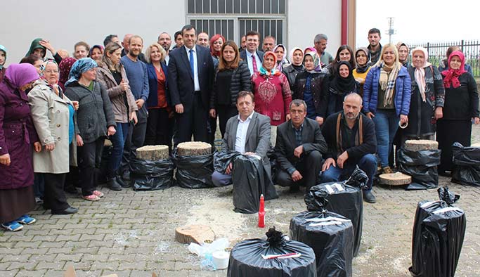 Vakfıkebir'de istiridye mantarı için eğitim verildi