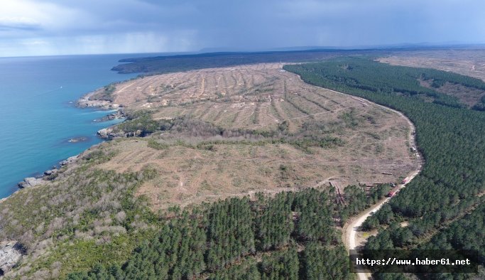 Nükleer santral için Karadeniz katlediliyor