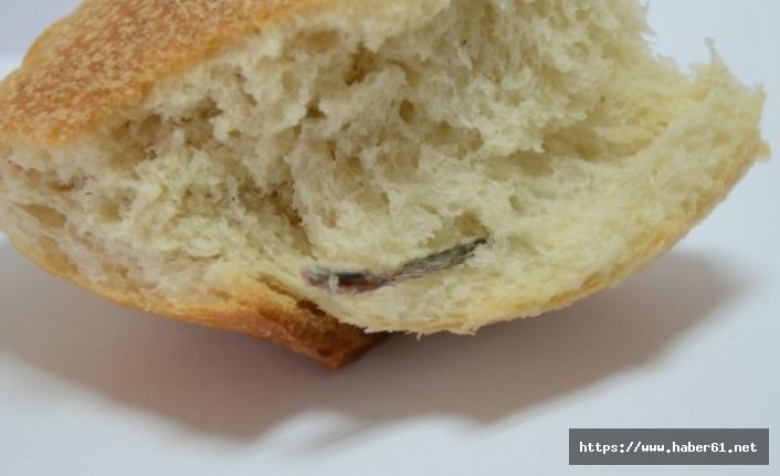 Ekmekten çıkan şok etti! İnanılmaz...