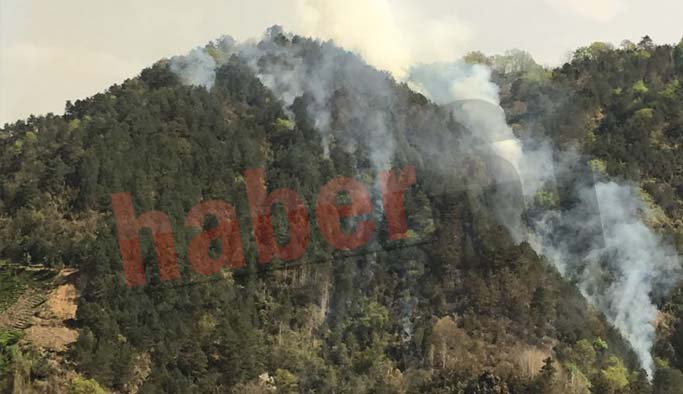 Trabzon'da ormanlık alanda örtü yangını çıktı. 2 Nisan 2018