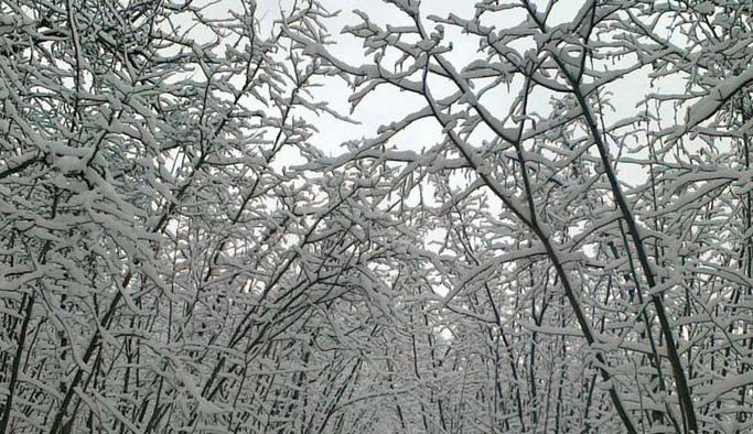 Trabzon için don uyarısı
