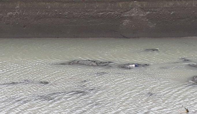 Kaybolan çocuğun cansız bedeni bulundu