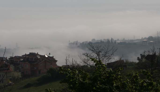 Sis fındığı da vuruyor