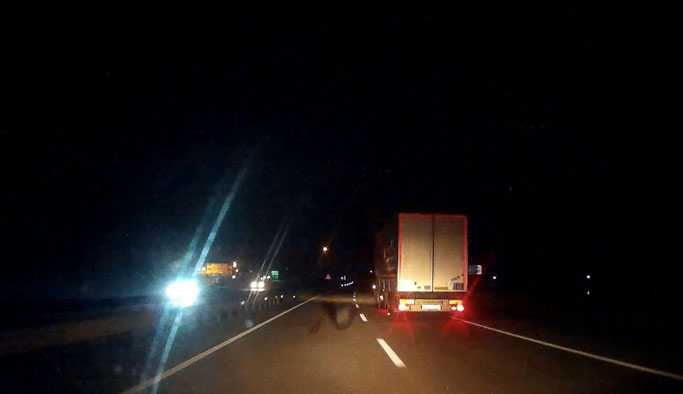 Faciaya ramak kala: Trabzon'dan Giresun'a giden tırın lastiği çıktı