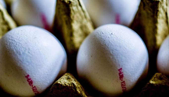 Yumurtaların üzerinde artık nasıl yetiştirildikleri yazacak