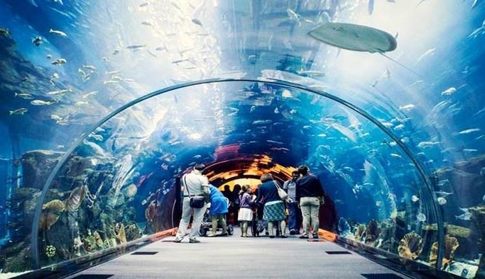 Trabzon'da tünel akvaryum projesi başlıyor