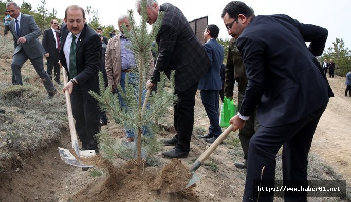 Aslan dağında şehitler için hatıra ormanı