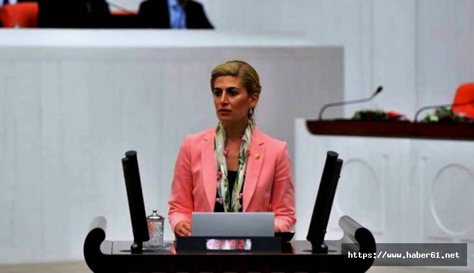 CHP'li Didem Engin kimdir? Cumhurbaşkanlığı adaylığını açıkladı