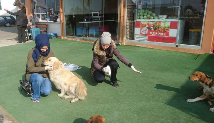 İkiz kardeşlerden insanlık dersi