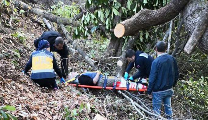 Rize’de ağaç altında kalan yaşlı adam hastaneye kaldırıldı