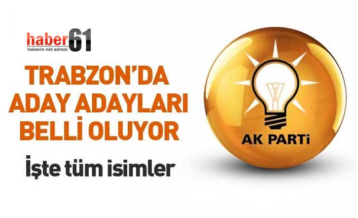 Trabzon'da AK Parti'den kimler milletvekili adayı oldu? İşte isimler