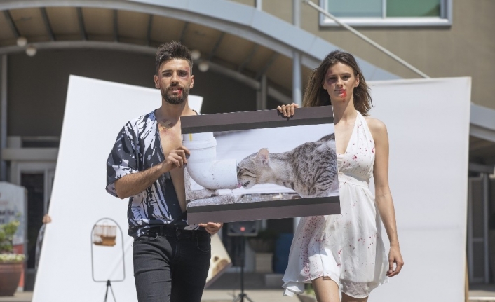 Hayvanlar için defile yaptılar