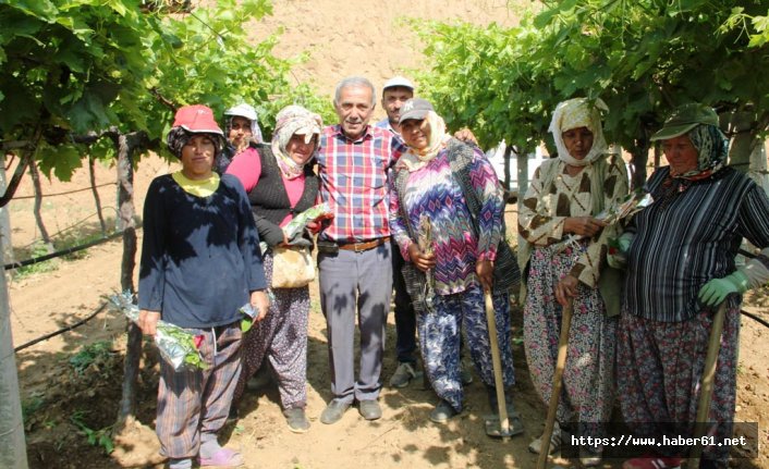 Üzüm bağlarında çalışan işçilere karanfilli kutlama