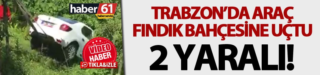 Trabzon'da araç fındık bahçesine uçtu!