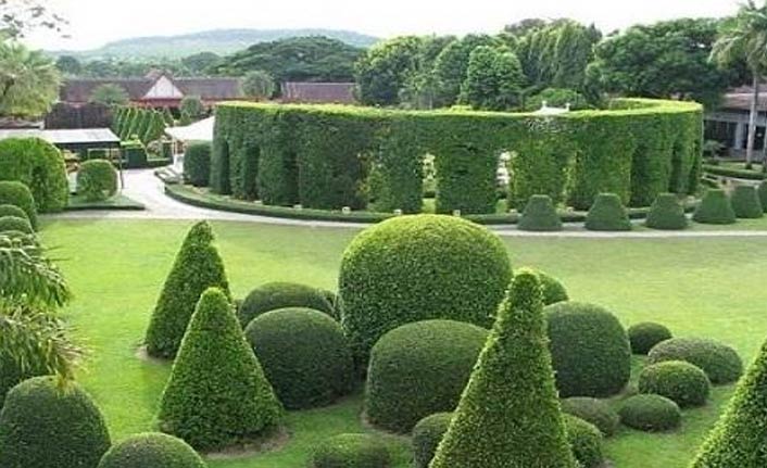 Peyzaj Mimarları Trabzon’da buluşuyor