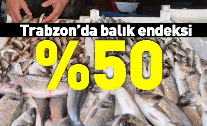 Trabzon'da balık yarı yarıya azaldı, fiyatı tırmandı