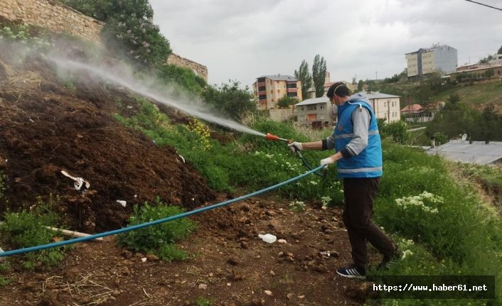 Bayburt Belediyesi ekipleri ilaçlama mesaisine devam ediyor 