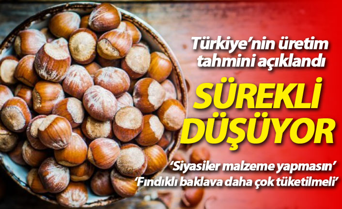 Türkiye'nin dünyadaki fındık üretim oranı sürekli düşüyor