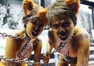 Böyle Ölmek İstemiyorum