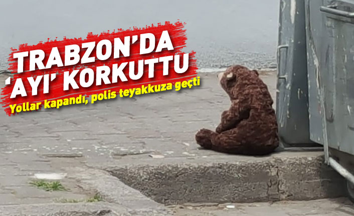 Trabzon'da oyuncak ayı paniği!