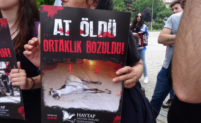 Büyükada'da fayton protestosu