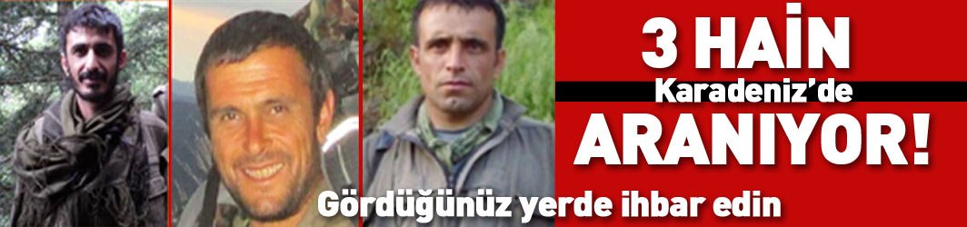 Karadeniz'de Fındık Dalı Harekatı: Arananlar listesindeki 3 terörist Karadeniz'de