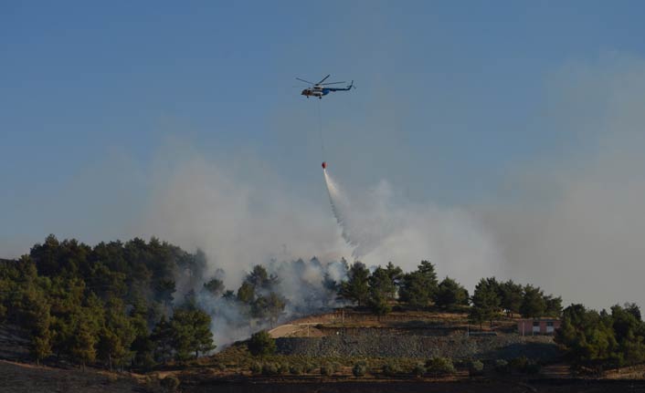 7 hektarlık ormanlık alan yandı