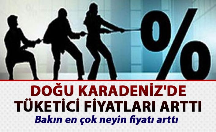 Doğu Karadeniz'de aylık yüzde 1,93 artış gerçekleşti.