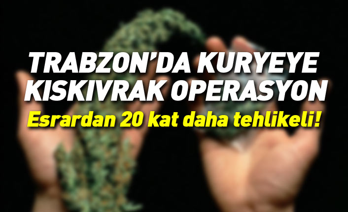 Trabzon'da  2 kilo uyuşturucu madde yakalandı