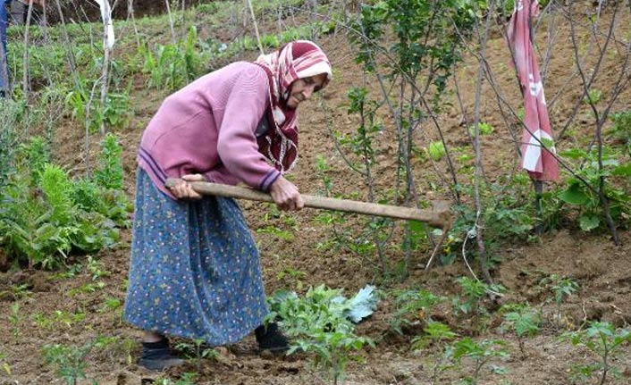 Ayşe teyze 80 yaşında tarlada çalışıp pazarda satarak geçiniyor