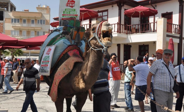Aydın'da balık ölümlerine karşı develi protesto