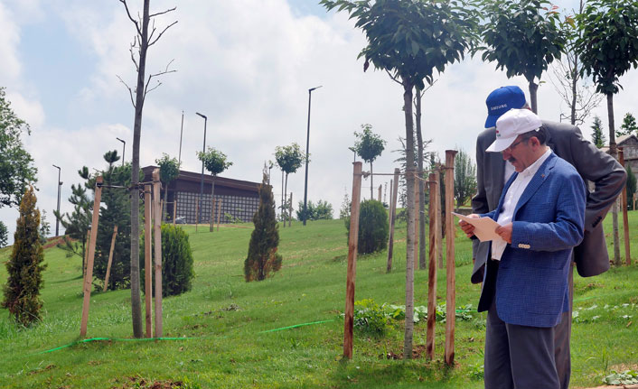 Trabzon Botanik'te sona doğru