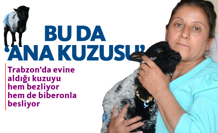 Kuzuyu hem bezliyor hem de biberonla besliyor