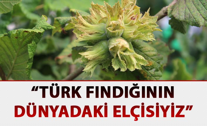 “Türk fındığının dünyadaki elçisiyiz”