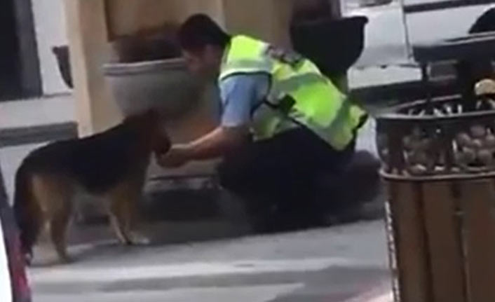 Polis, avucuyla köpeğe su içirdi