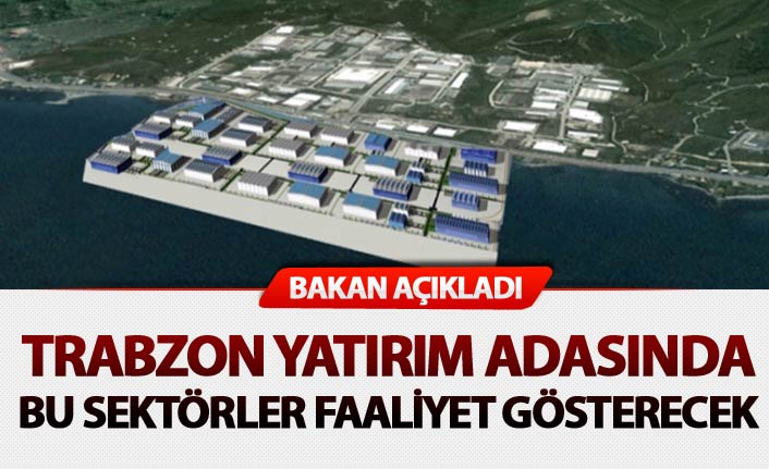 Bakan Açıkladı - Trabzon Yatırım Adasında bu sektörler faaliyet gösterecek