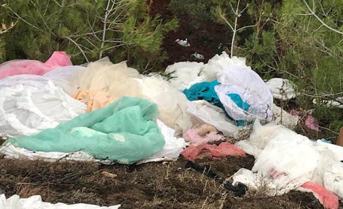 Ormanlık alanı gören şaşkınlığını gizleyemiyor