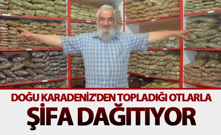 Doğu Karadeniz'den topladığı otlarla şifa dağıtıyor