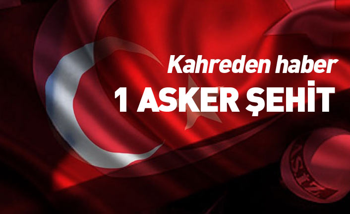 Bitlis'ten kahreden haber! 1 asker şehit düştü