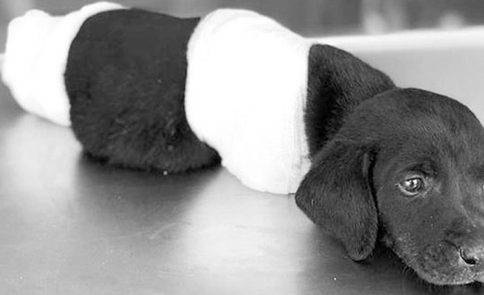 Türkiye'yi ayağa kaldıran olayda flaş gelişme