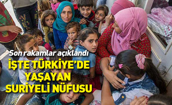 Son rakamlar açıklandı... İşte Türkiye'de yaşayan Suriyeli sayısı